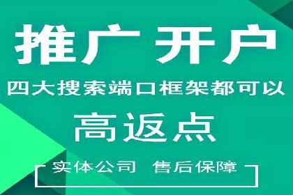 搜索引擎营销（SEM）成功案例详解